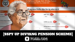 SSPY UP Divyang Pension 2021 [दिव्यांग पेंशन / कुष्ठावस्था पेंशन ऑनलाइन आवेदन फॉर्म]