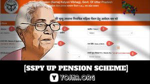 SSPY UP Pension Scheme 2021 [ऑनलाइन आवेदन फॉर्म विधवा पेंशन, Old Age, दिव्यांग]
