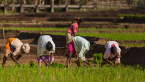 भारतीय किसानों को 20 जून 2023 को 14वीं किस्त की उम्मीद | Kisan Samman Nidhi Scheme